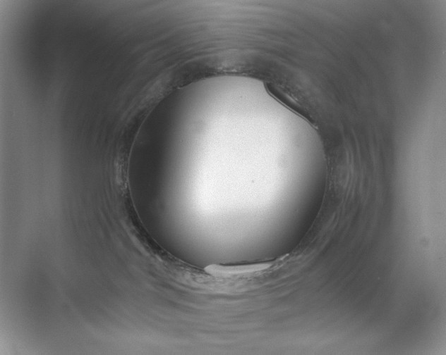 X0000071970044200607212329