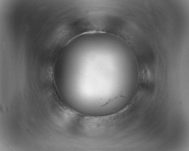 X0000071970045200607212329