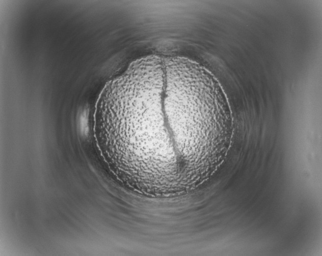 X0000071970046200607212329