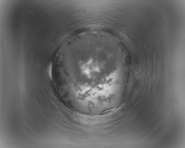 X0000071970047200607212329