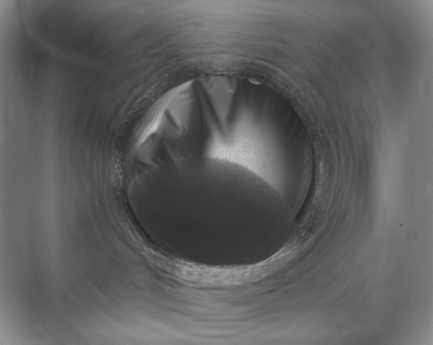 X0000071970048200607212329