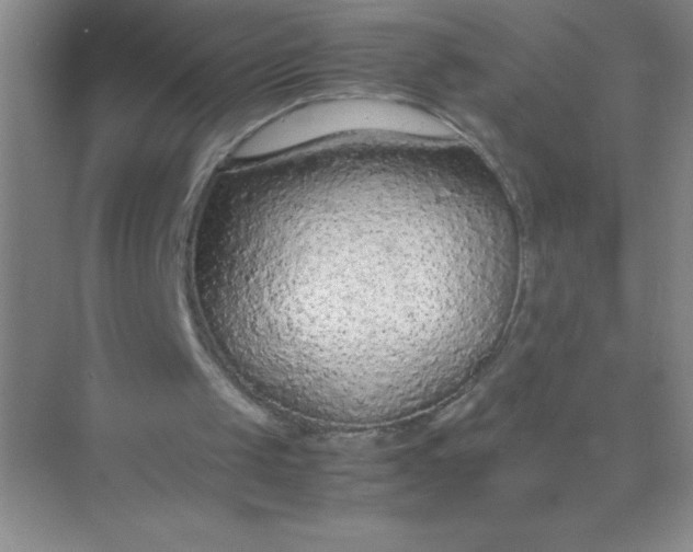 X0000071970049200607212328