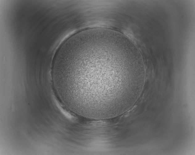 X0000071970050200607212328