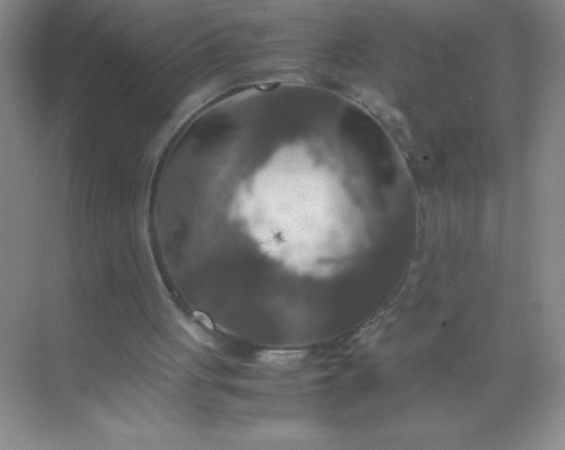 X0000071970051200607212329