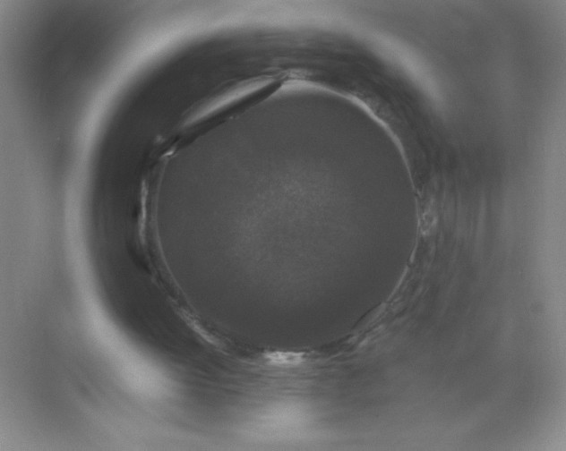 X0000071970052200607212329