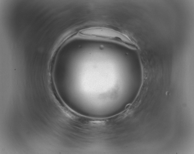 X0000071970053200607212329