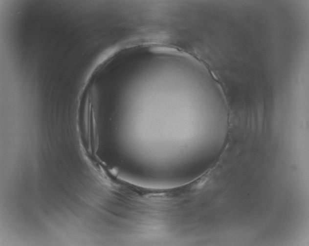 X0000071970054200607212329