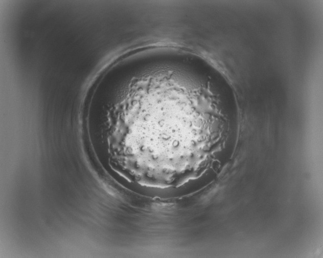 X0000071970055200607212329