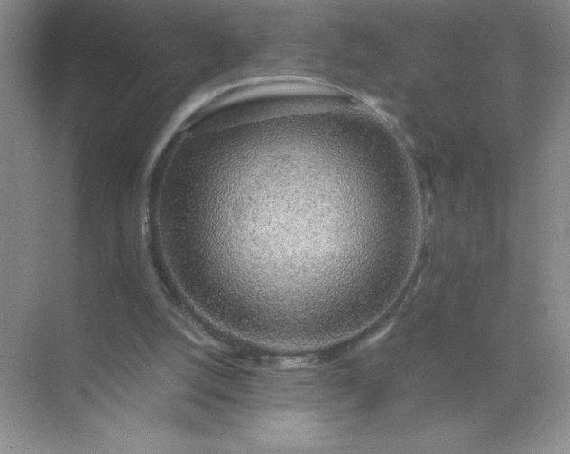 X0000071970056200607212329