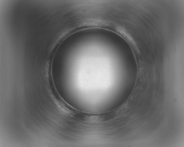 X0000071970058200607212329