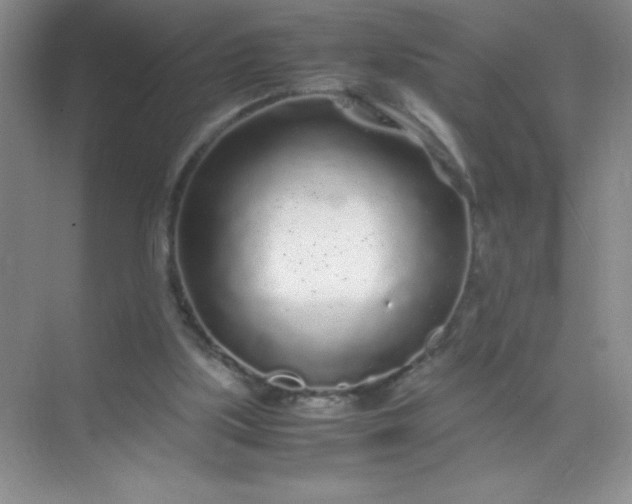 X0000071970059200607212329