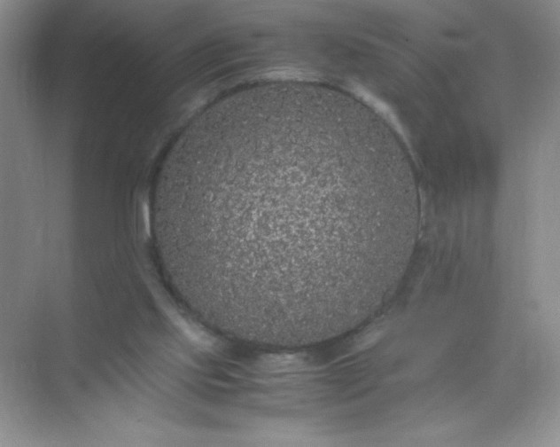 X0000071970061200607212329