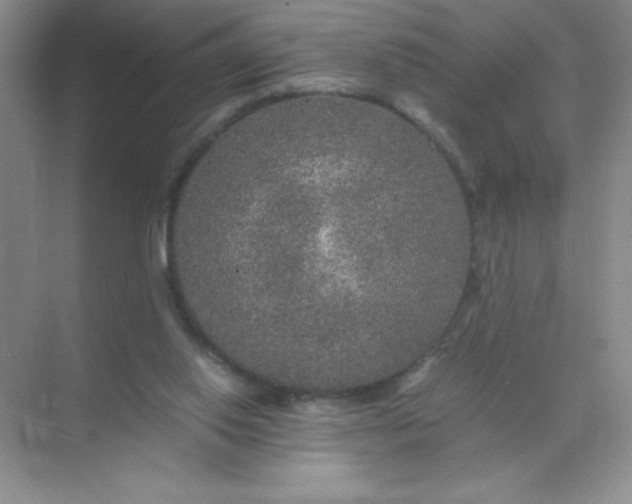 X0000071970062200607212329