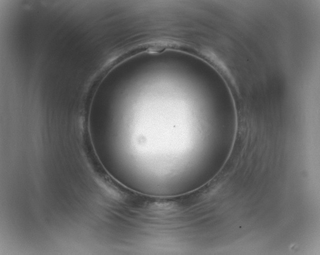 X0000071970063200607212329