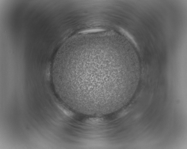 X0000071970065200607212329