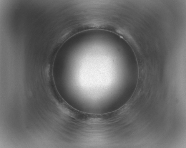 X0000071970066200607212329