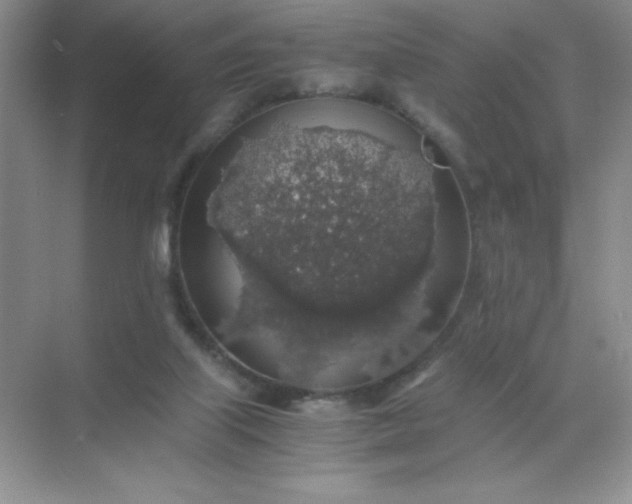 X0000071970067200607212329