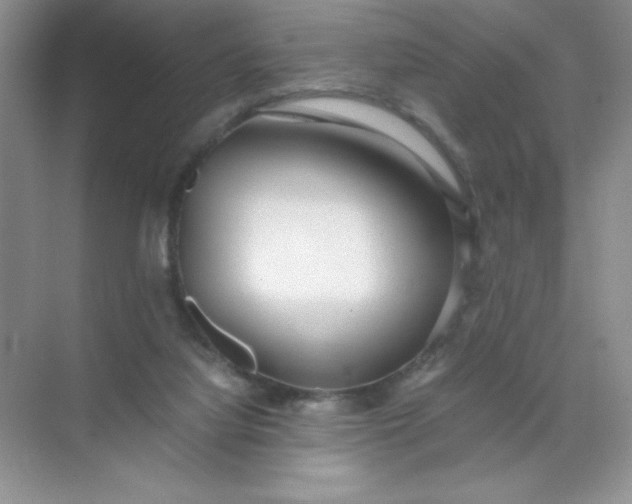 X0000071970068200607212329