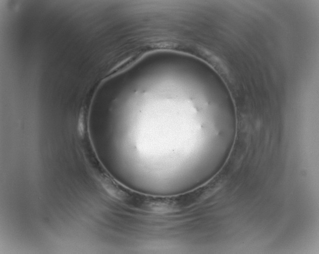 X0000071970069200607212329