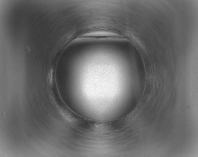 X0000071970070200607212329