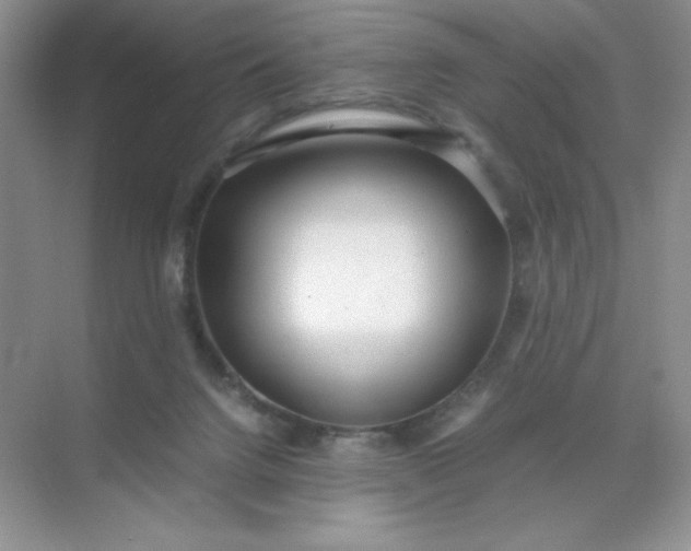 X0000071970072200607212329