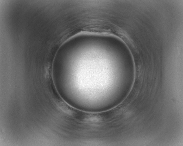 X0000071970073200607212329