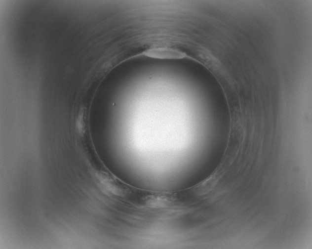 X0000071970074200607212329