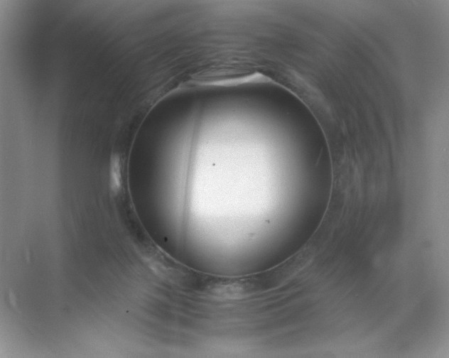 X0000071970075200607212329