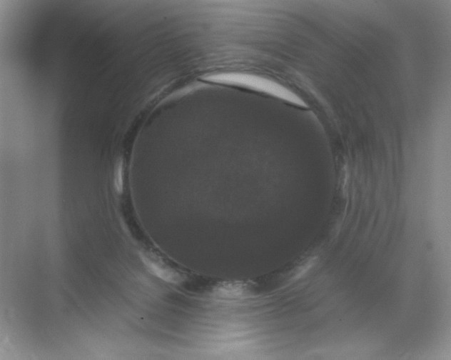 X0000071970076200607212329