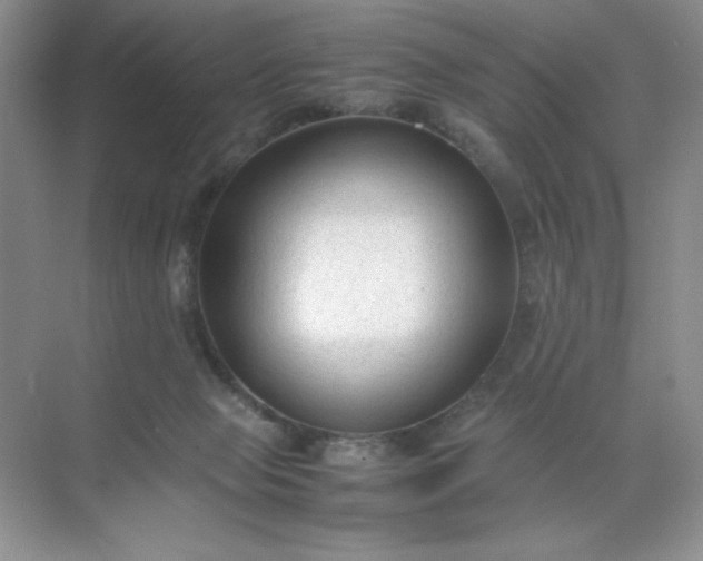 X0000071970077200607212329