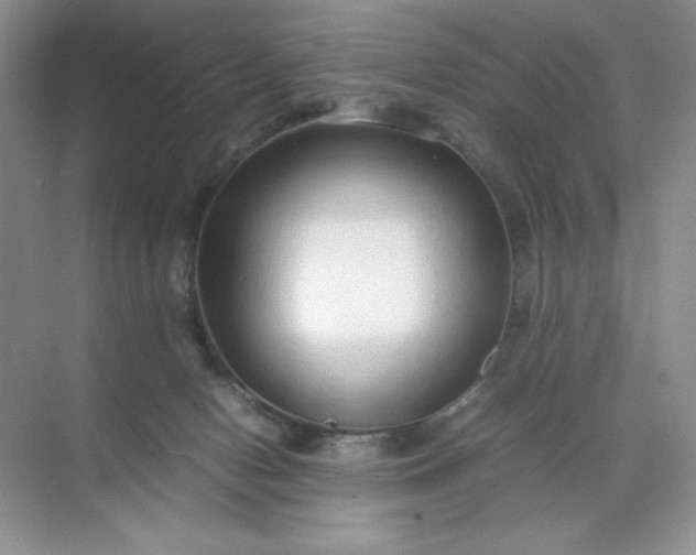 X0000071970078200607212329