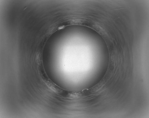 X0000071970079200607212329