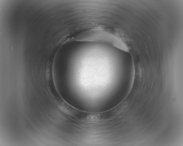 X0000071970080200607212329