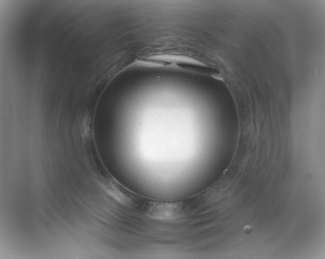 X0000071970081200607212329