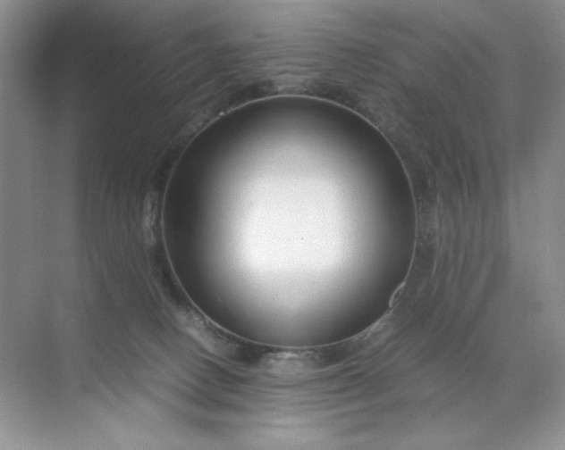 X0000071970082200607212329