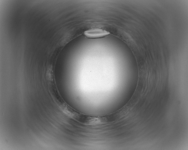 X0000071970083200607212329