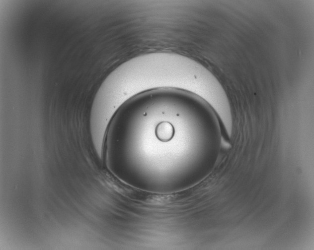 X0000071970084200607212329