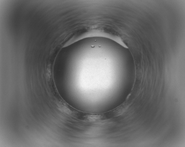 X0000071970085200607212329