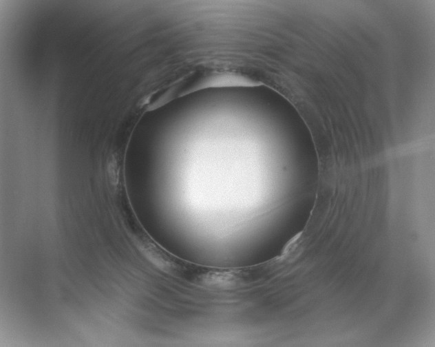 X0000071970086200607212329