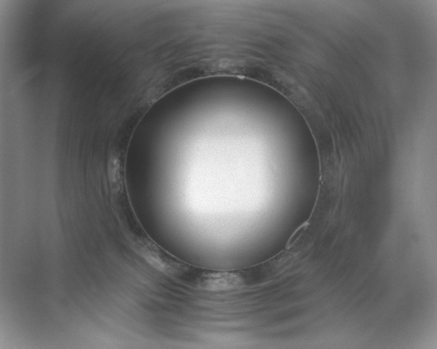 X0000071970087200607212329