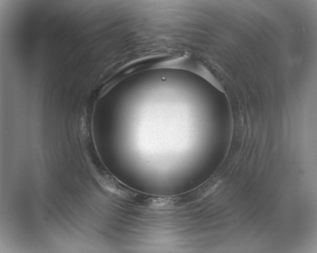 X0000071970088200607212329