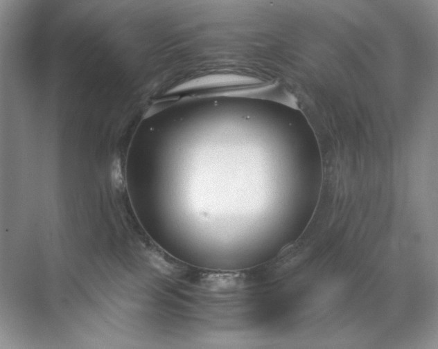 X0000071970089200607212329