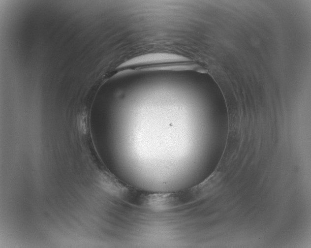 X0000071970090200607212329