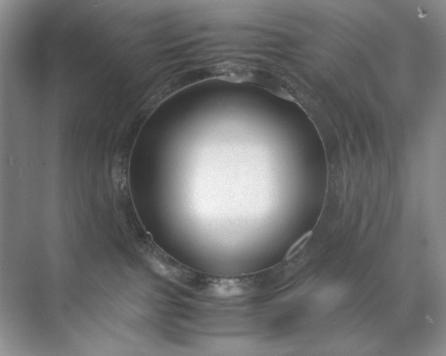 X0000071970091200607212329