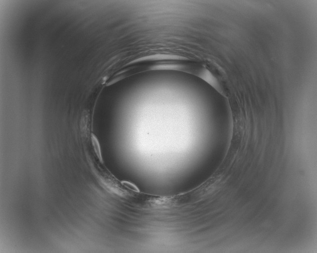 X0000071970092200607212329