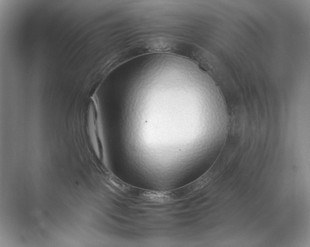 X0000071970093200607212329