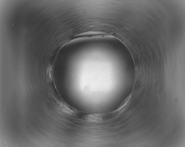 X0000071970094200607212329