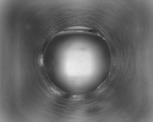 X0000071970095200607212329