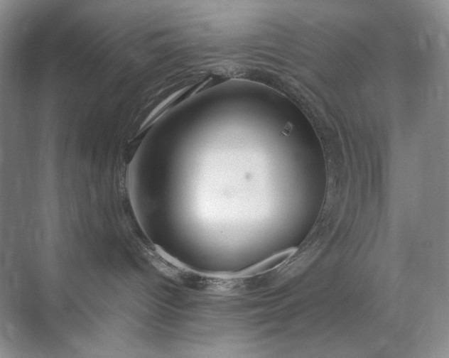 X0000071970096200607212329