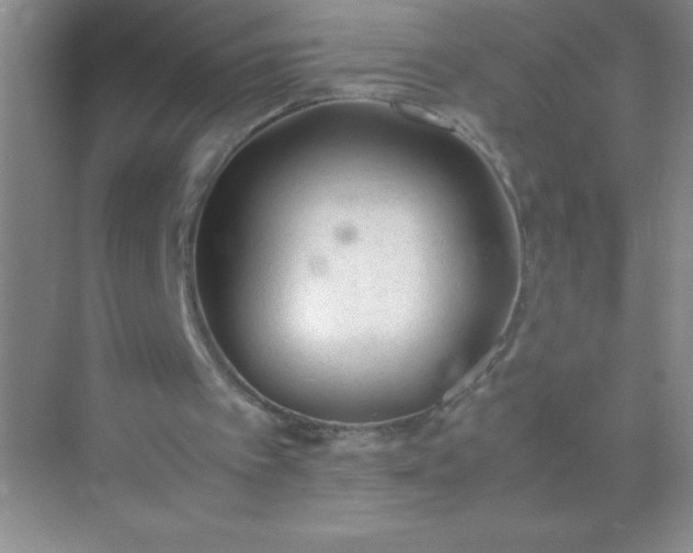 X0000071970097200607212328